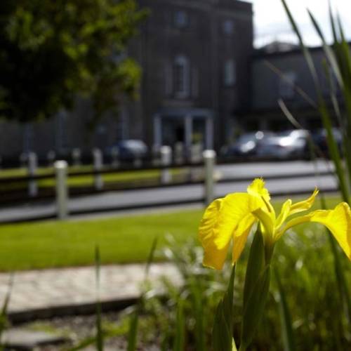 Newtown School Waterford