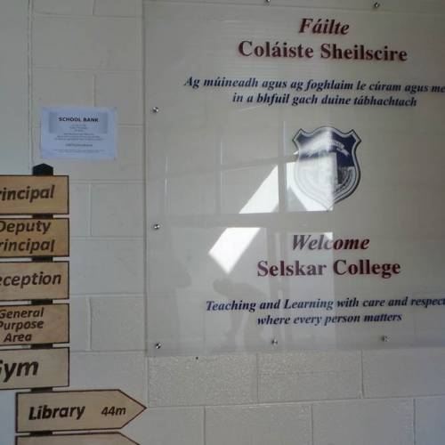 selskar college colegio de Wexford