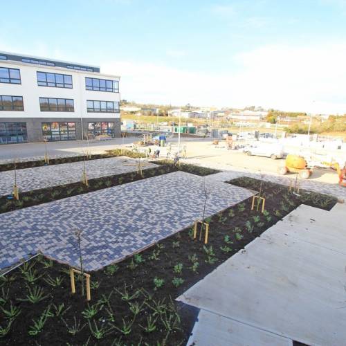 Loreto Secondary School Wexford - colegios de wexford chicas