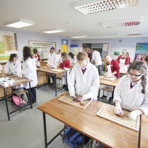 Colegios de Irlanda - St Marys Secondary School - Edenderry