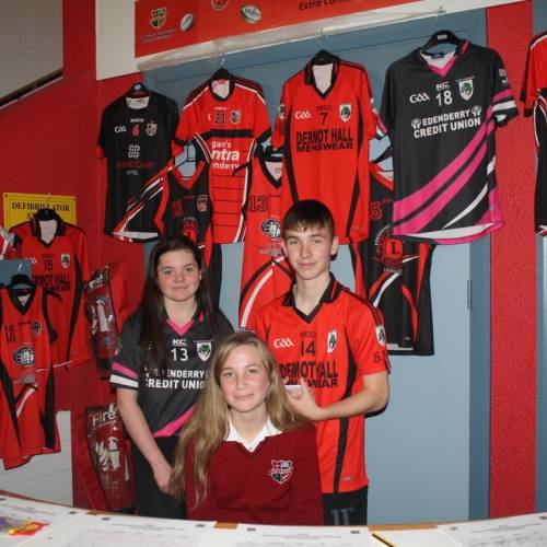 Colegios de Irlanda - St Marys Secondary School - Edenderry